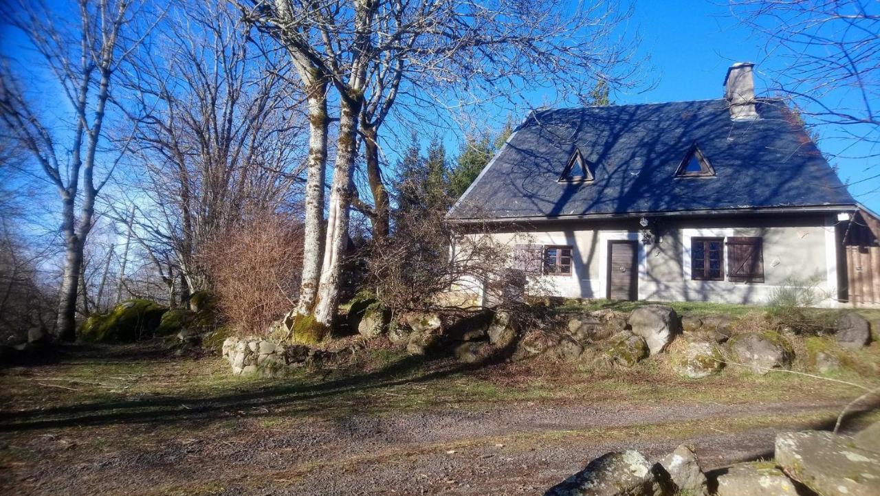 Fermette Typique Auvergnate Dans Son Ecrin D'Eau Et De Verdure Saint-Donat Luaran gambar