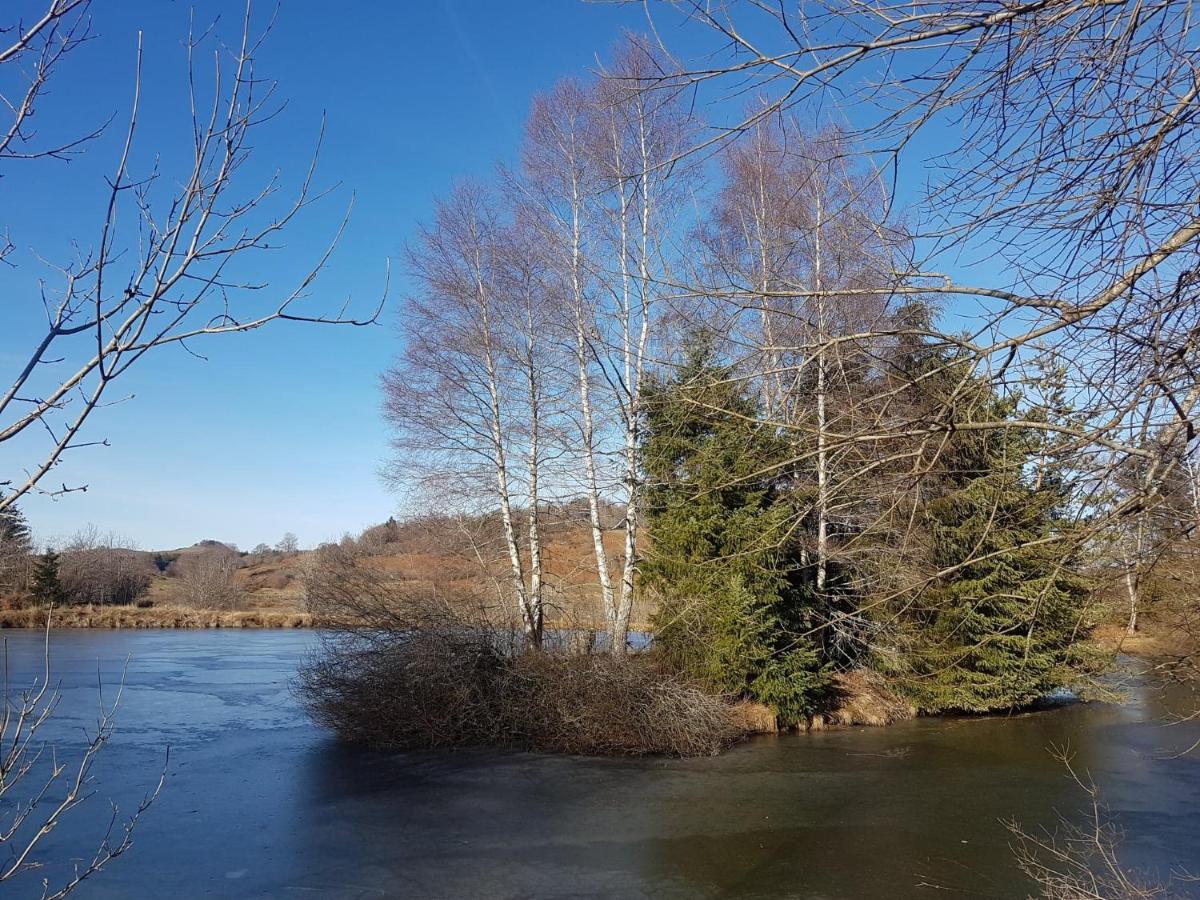 Fermette Typique Auvergnate Dans Son Ecrin D'Eau Et De Verdure Saint-Donat Luaran gambar
